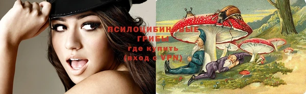 spice Россошь