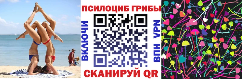 наркотики  Абинск  Псилоцибиновые грибы ЛСД 