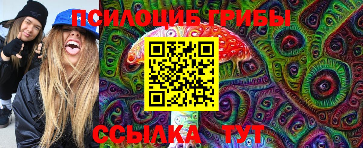 Галлюциногенные грибы GOLDEN TEACHER Абинск