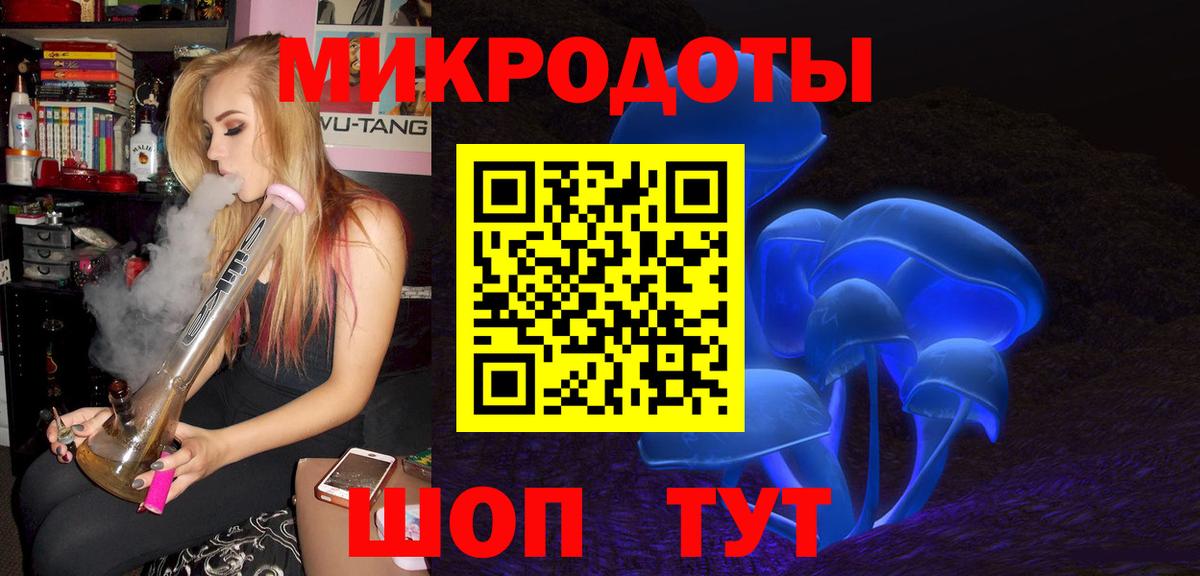 Галлюциногенные грибы прущие грибы  Абинск  Псилоцибиновые грибы Psilocybe 