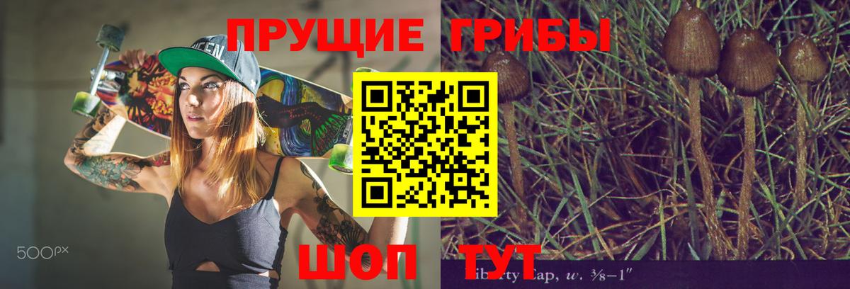 Абинск  Псилоцибиновые грибы Cubensis  Вход с VPN  Галлюциногенные грибы мицелий 